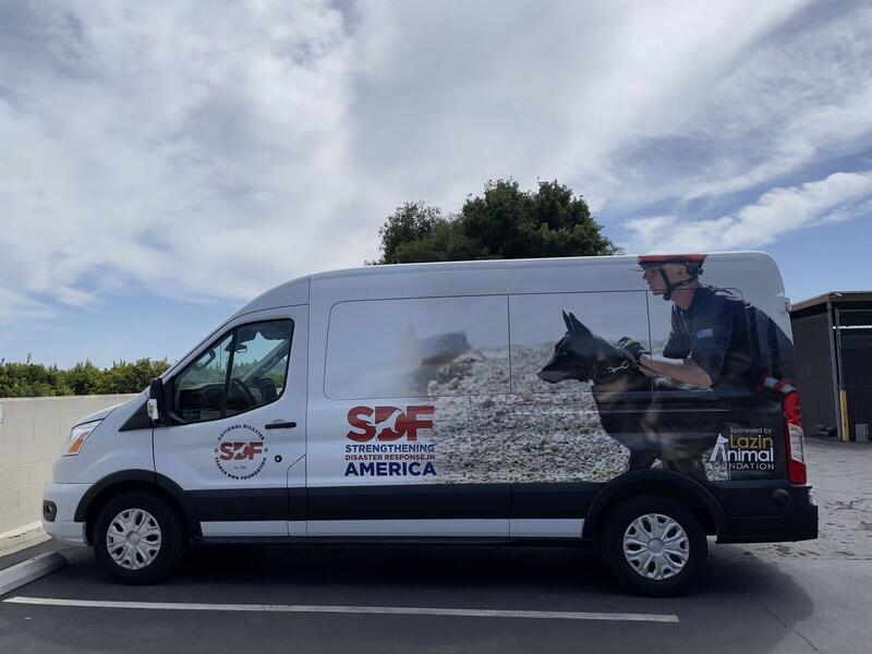 Certified installation — Rescue Dog van wrap